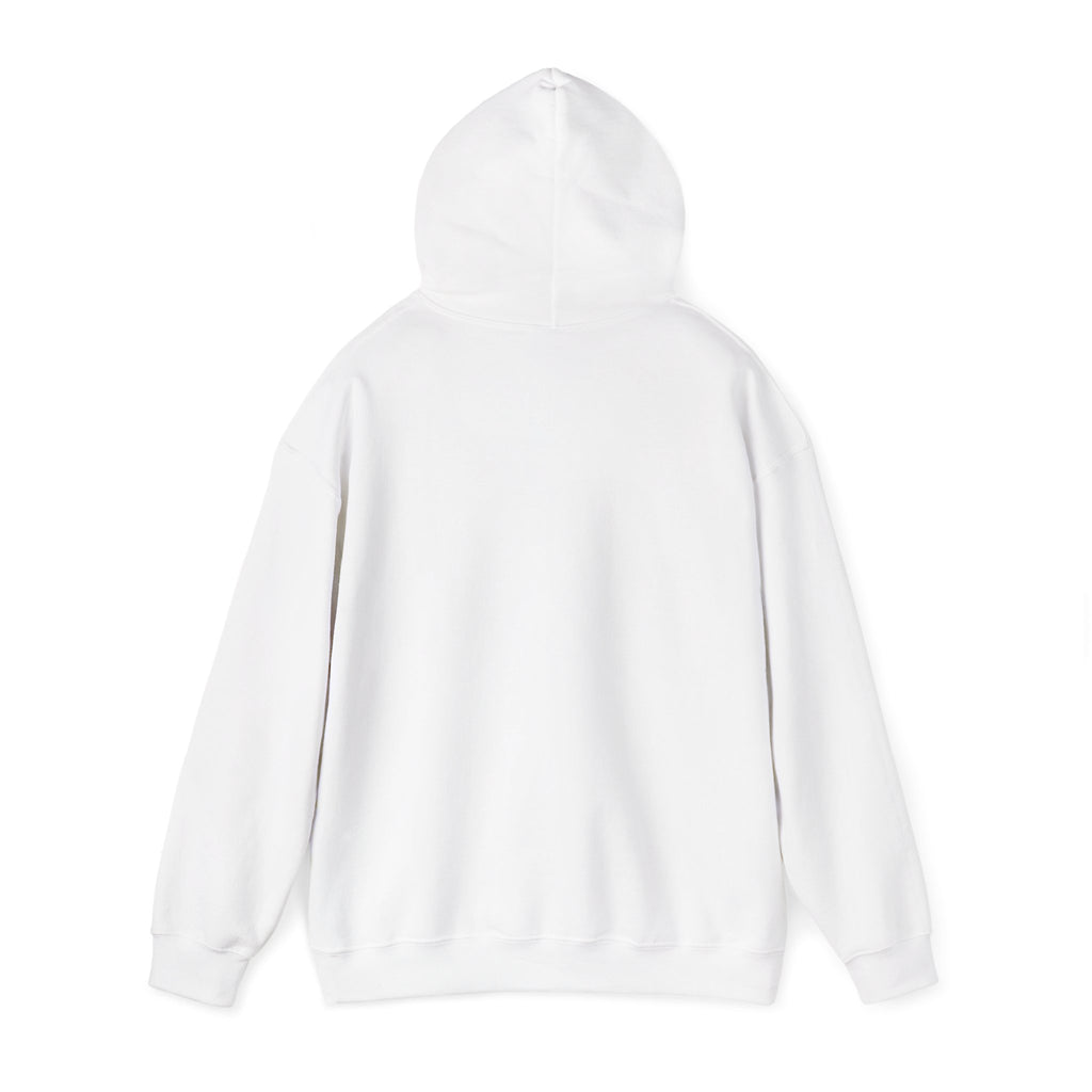 We Are All Immigrants Hoodie — Statement Hoodie