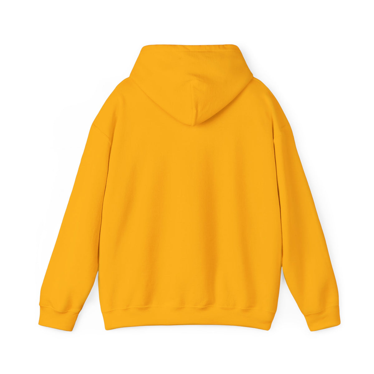 We Are All Immigrants Hoodie — Statement Hoodie