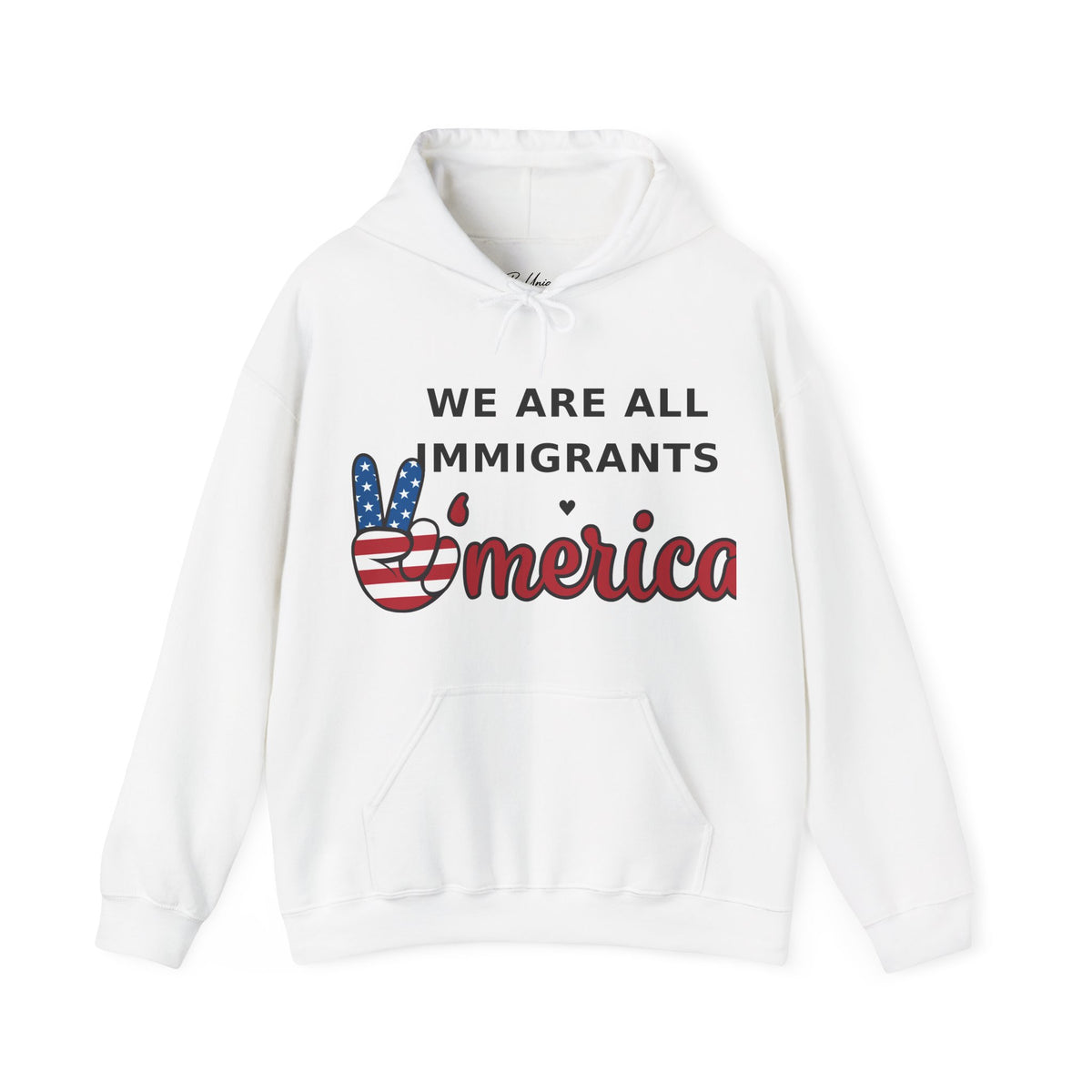 We Are All Immigrants Hoodie — Statement Hoodie