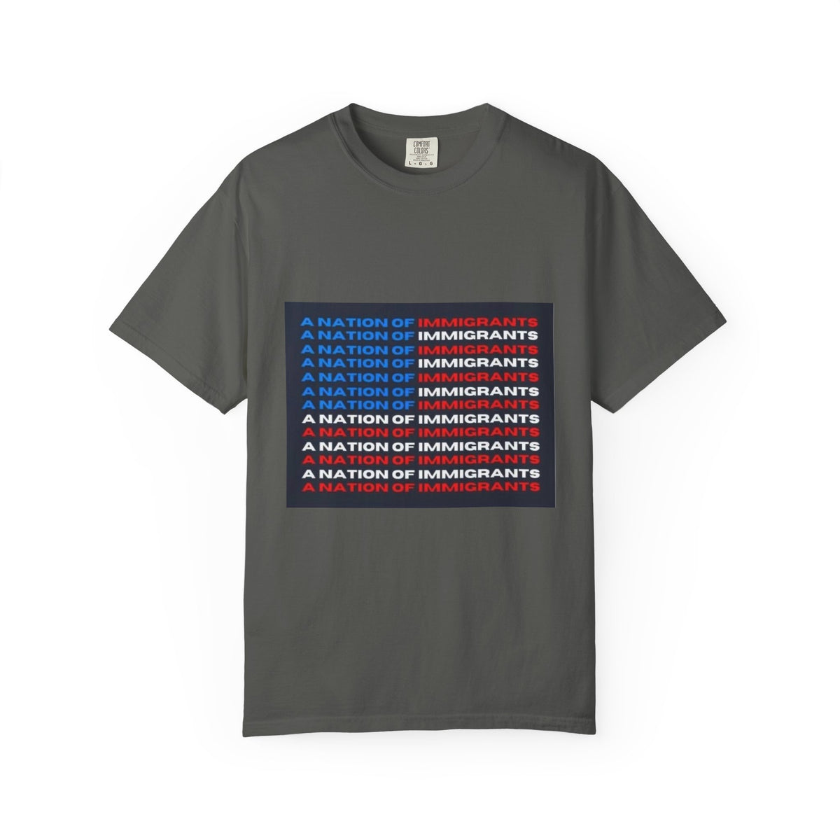 Immigrant Rights T-Shirt — A Nation of Immigrants Statement Tee