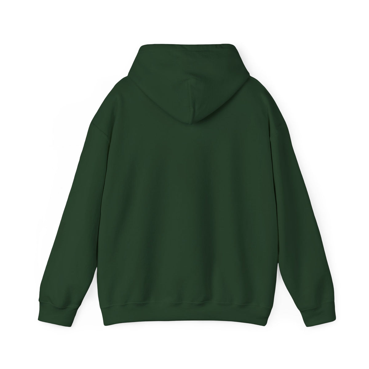 We Are All Immigrants Hoodie — Statement Hoodie