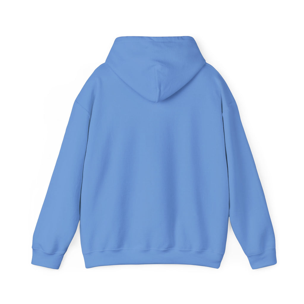 We Are All Immigrants Hoodie — Statement Hoodie