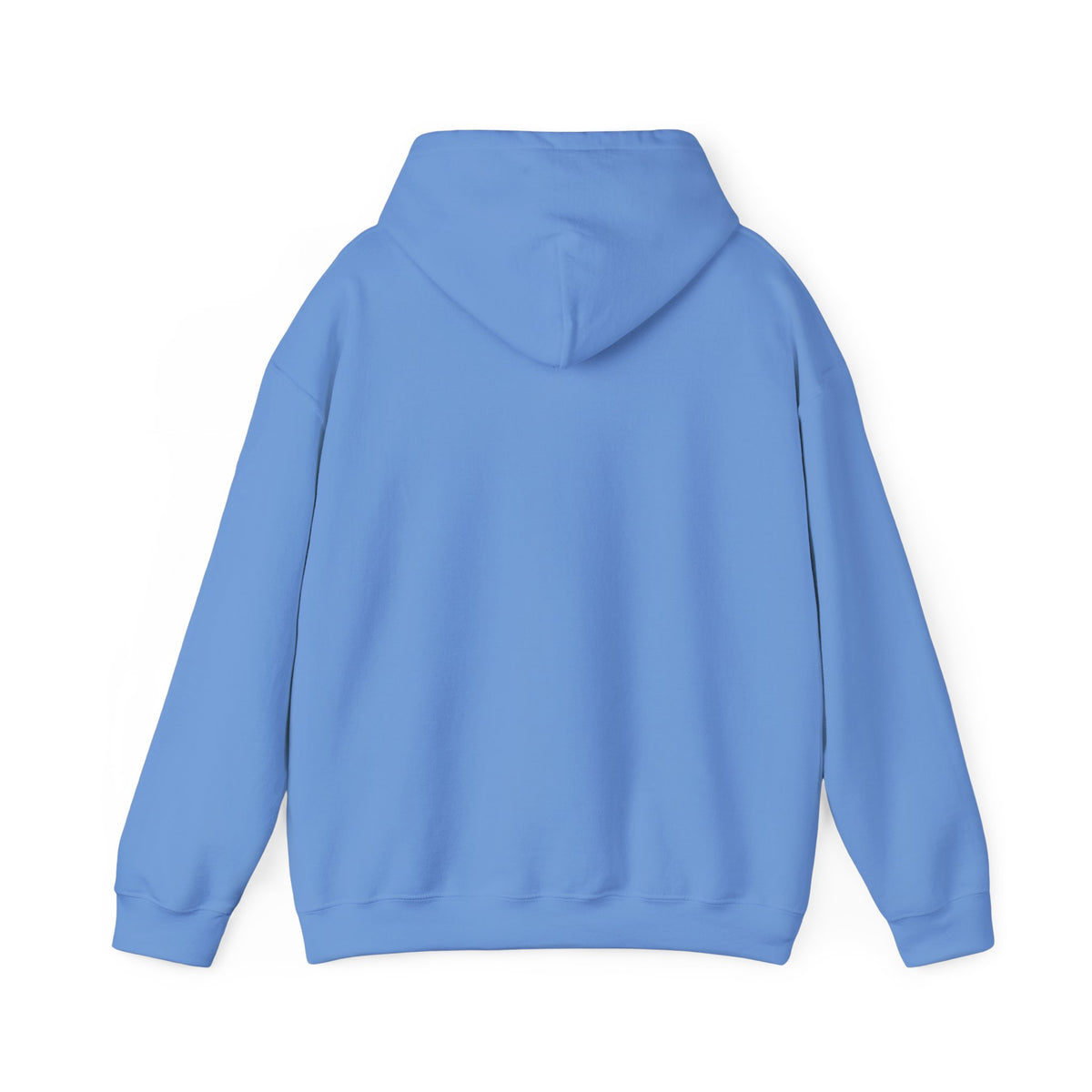We Are All Immigrants Hoodie — Statement Hoodie