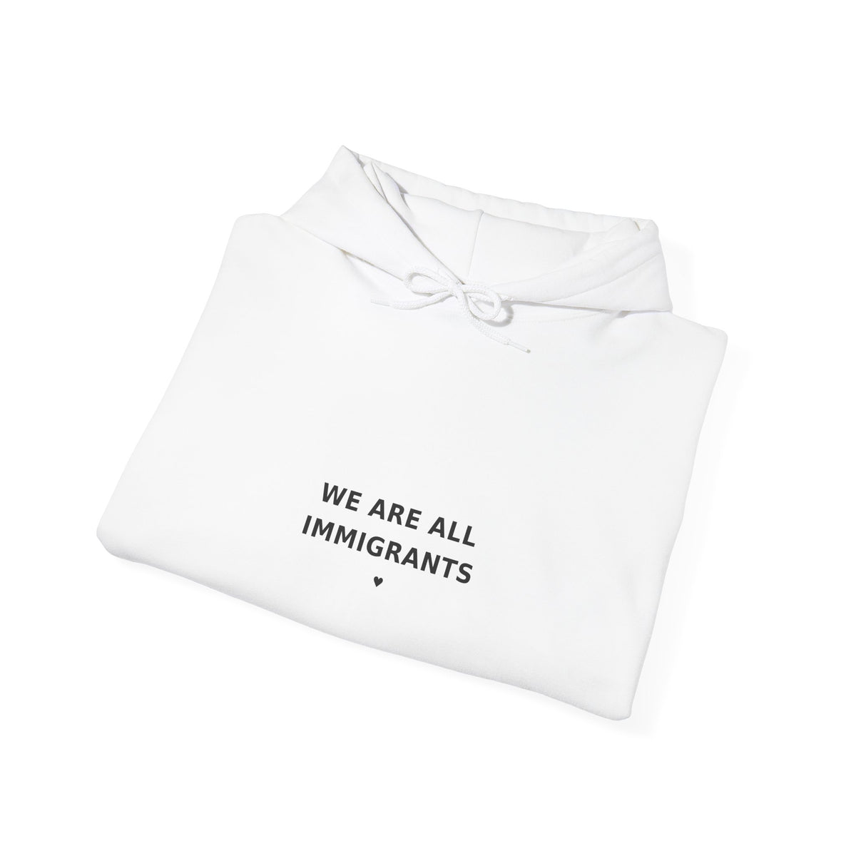 We Are All Immigrants Hoodie — Statement Hoodie