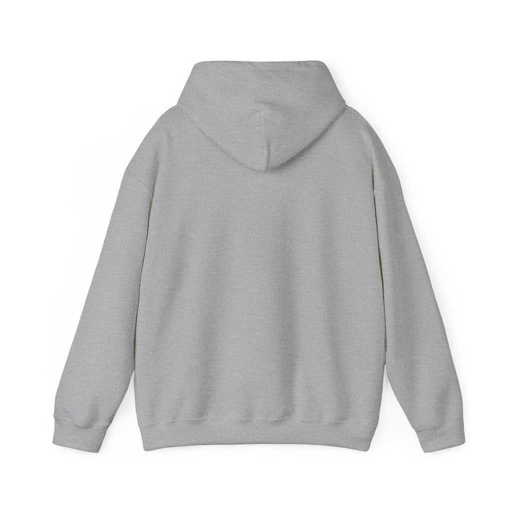 We Are All Immigrants Hoodie — Statement Hoodie