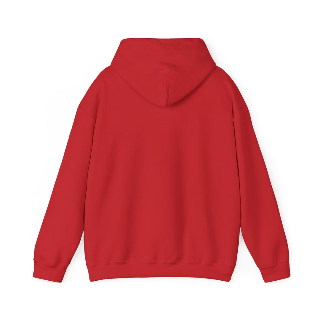 We Are All Immigrants Hoodie — Statement Hoodie