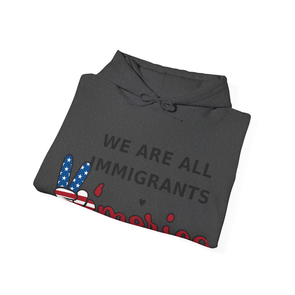 We Are All Immigrants Hoodie — Statement Hoodie