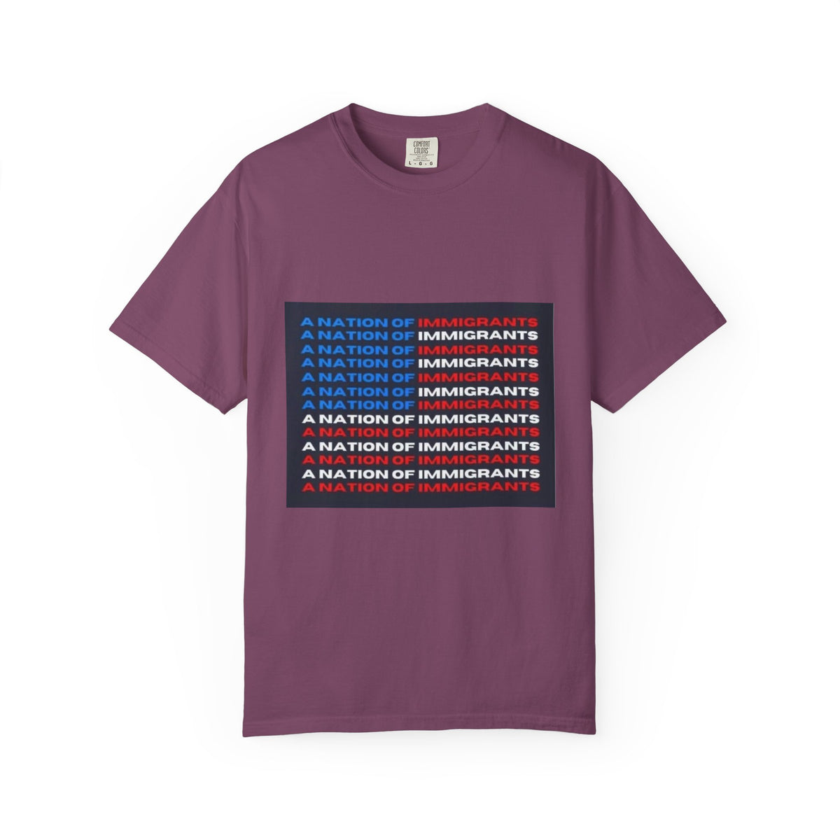Immigrant Rights T-Shirt — A Nation of Immigrants Statement Tee