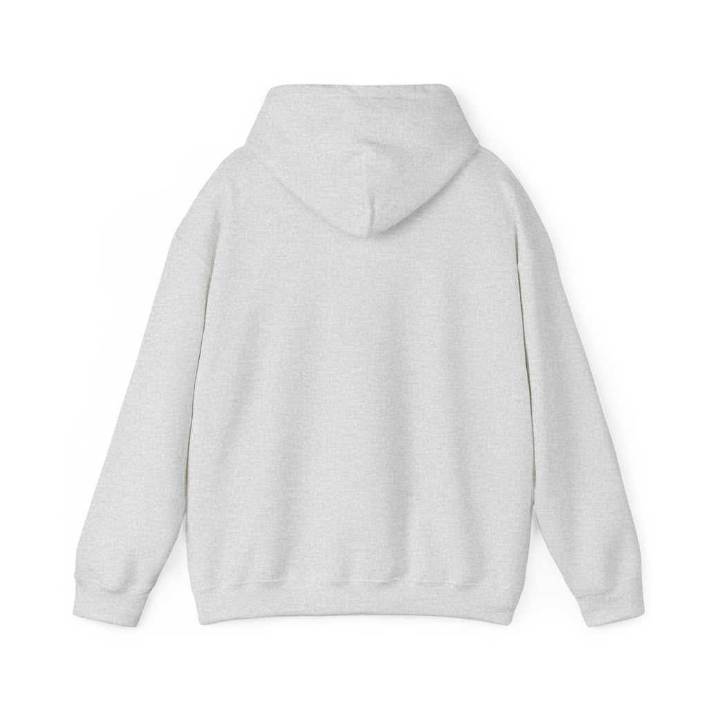 We Are All Immigrants Hoodie — Statement Hoodie
