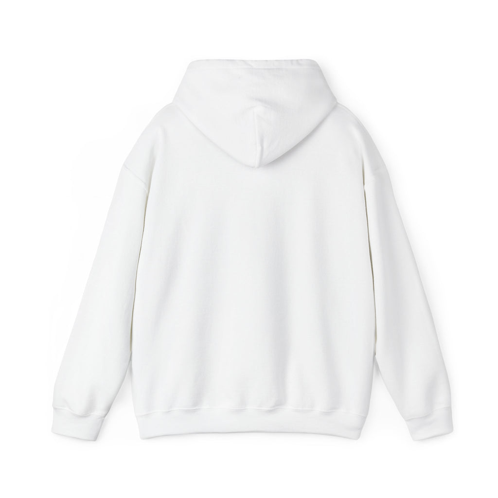 We Are All Immigrants Hoodie — Statement Hoodie