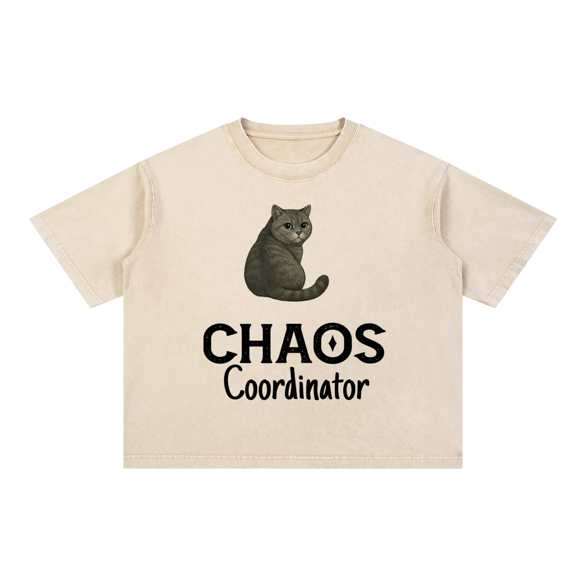 Mineral Wash Boxy Cotton T-Shirt
