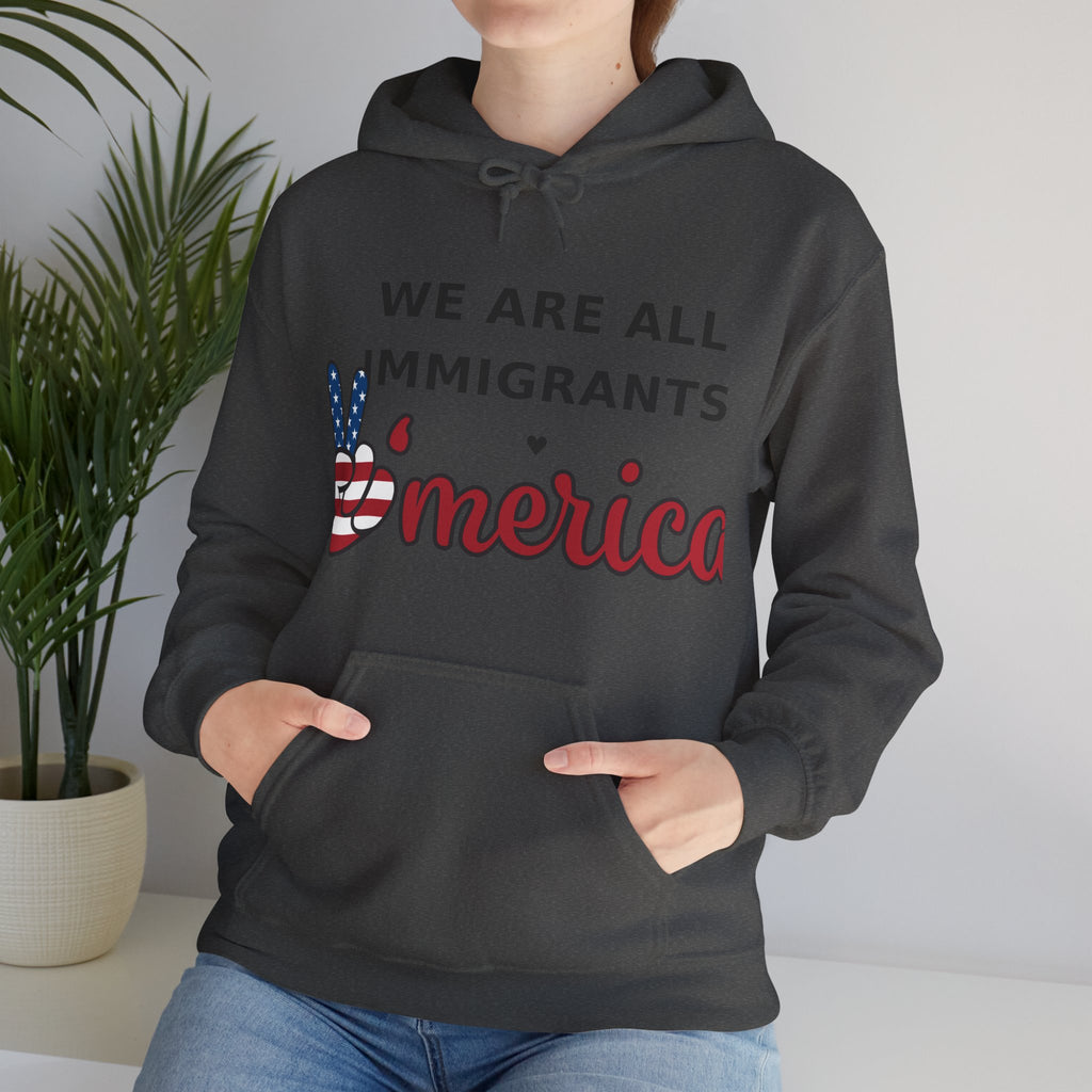 We Are All Immigrants Hoodie — Statement Hoodie