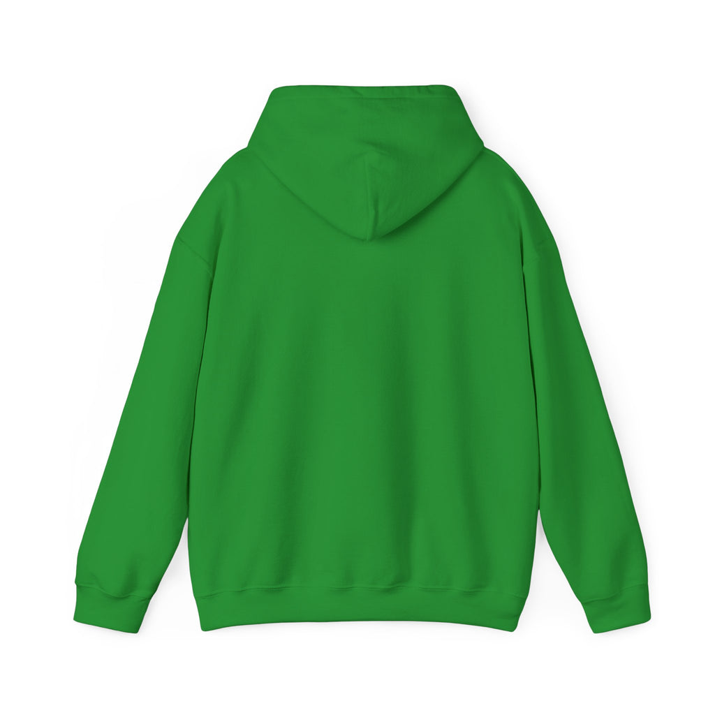 We Are All Immigrants Hoodie — Statement Hoodie