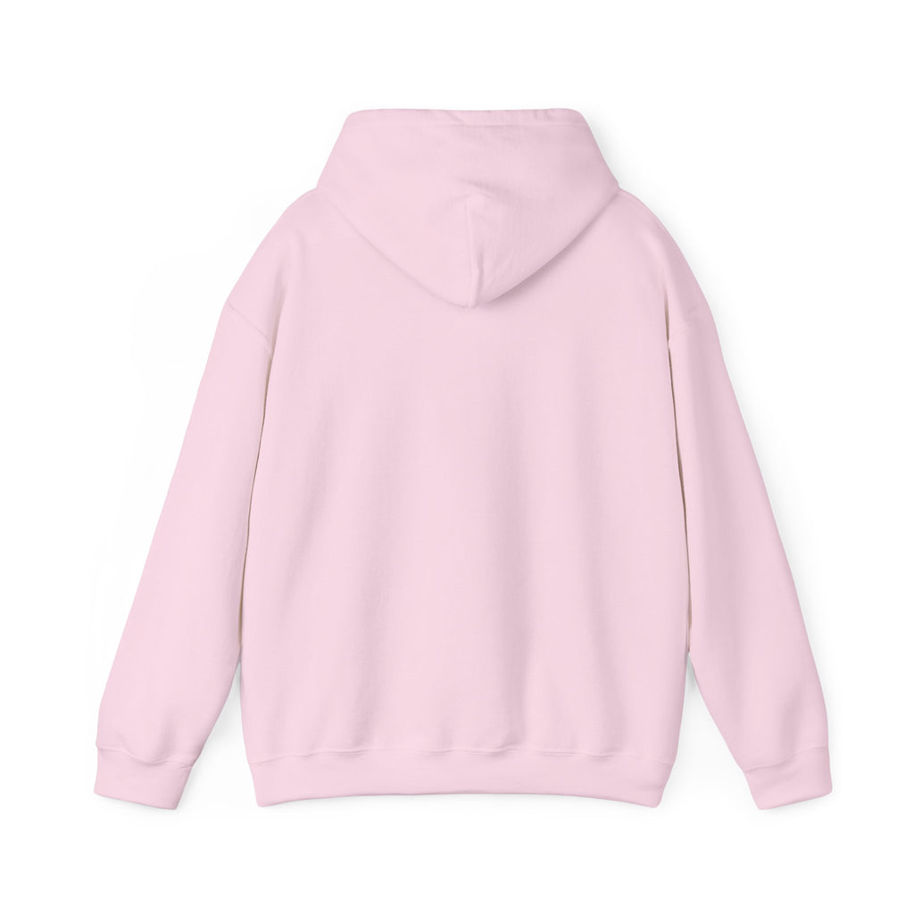 We Are All Immigrants Hoodie — Statement Hoodie