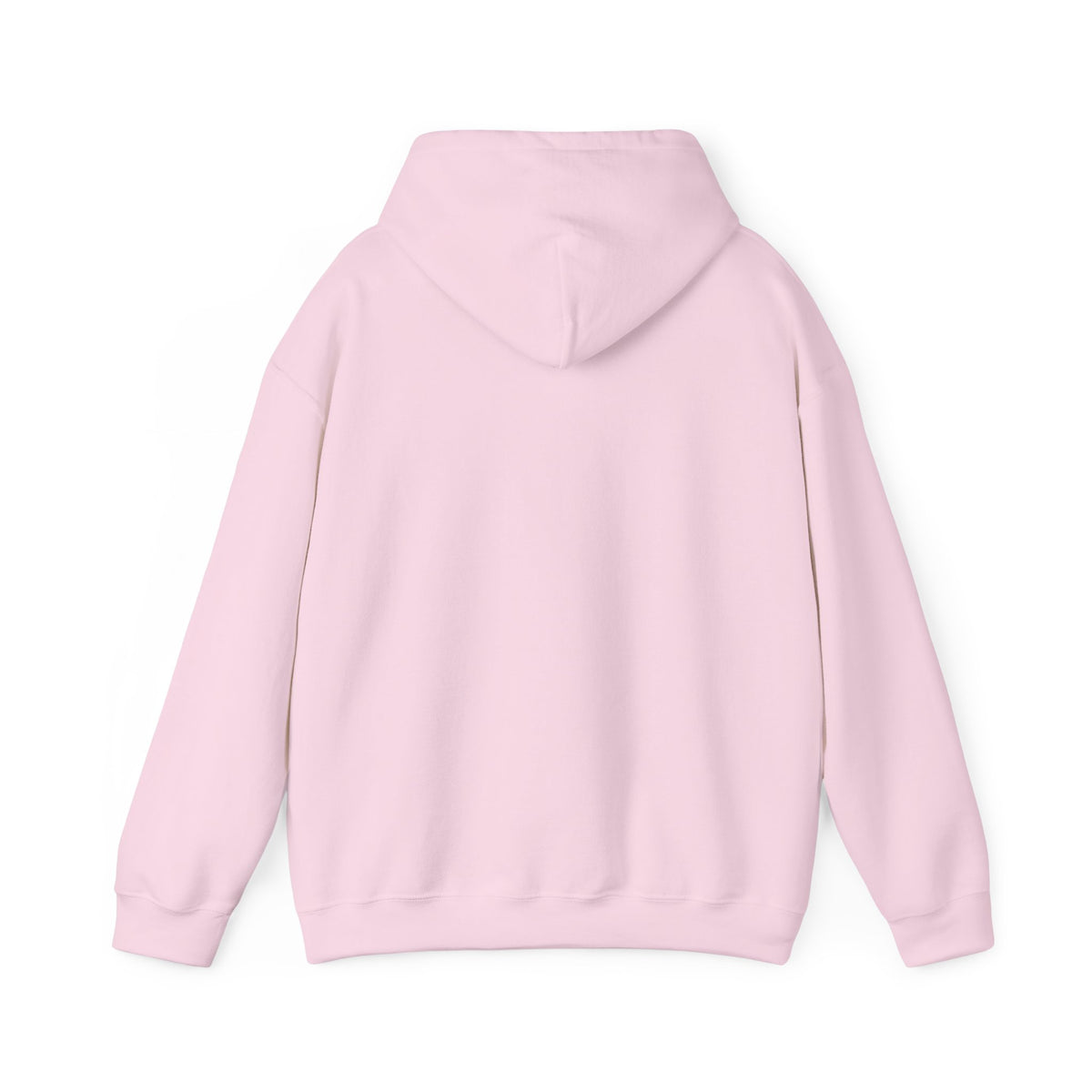 We Are All Immigrants Hoodie — Statement Hoodie