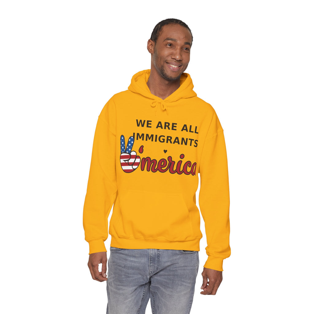 We Are All Immigrants Hoodie — Statement Hoodie