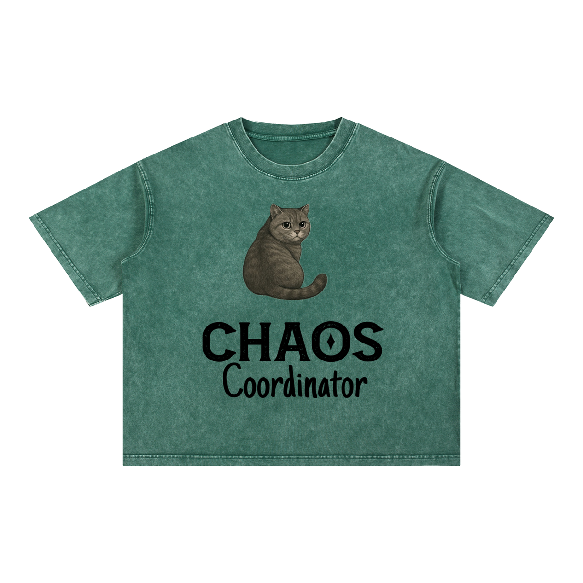 Mineral Wash Boxy Cotton T-Shirt