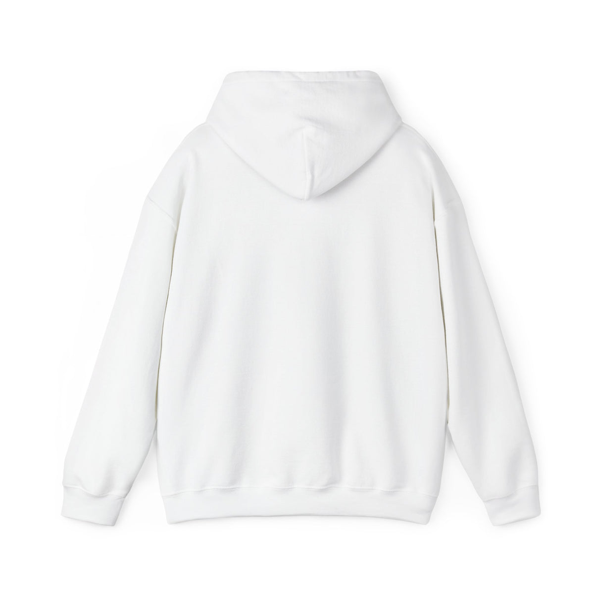 We Are All Immigrants Hoodie — Statement Hoodie