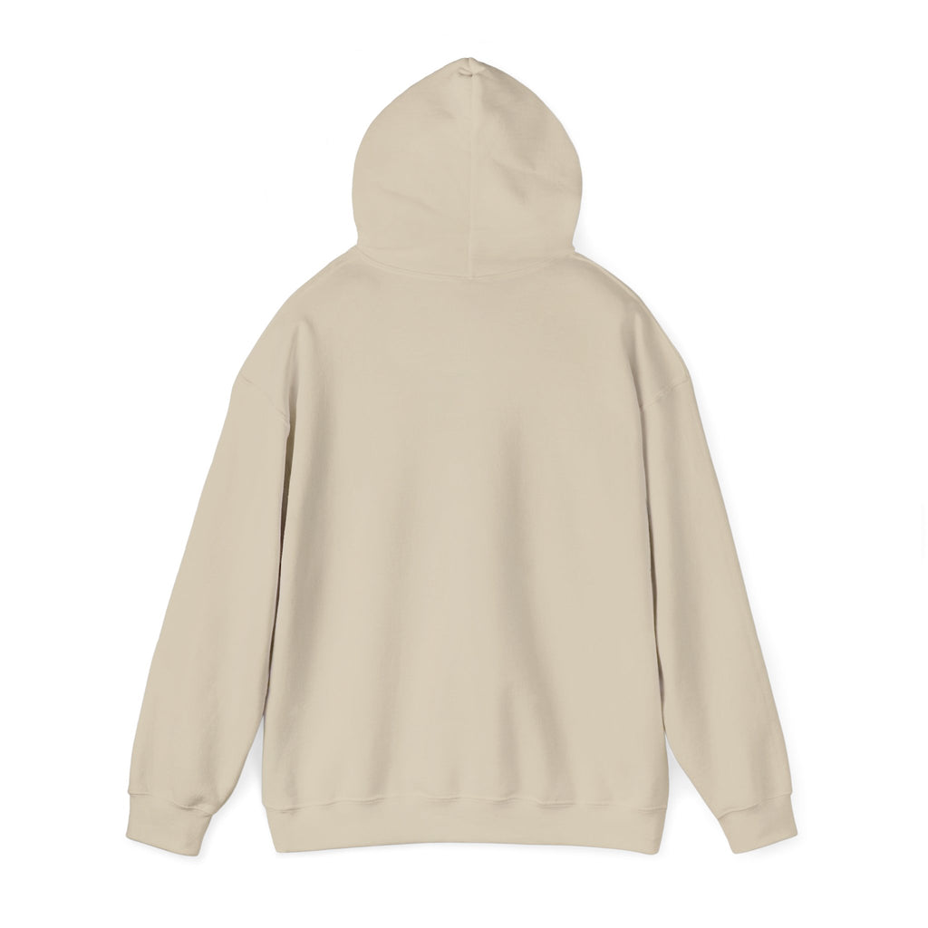 We Are All Immigrants Hoodie — Statement Hoodie