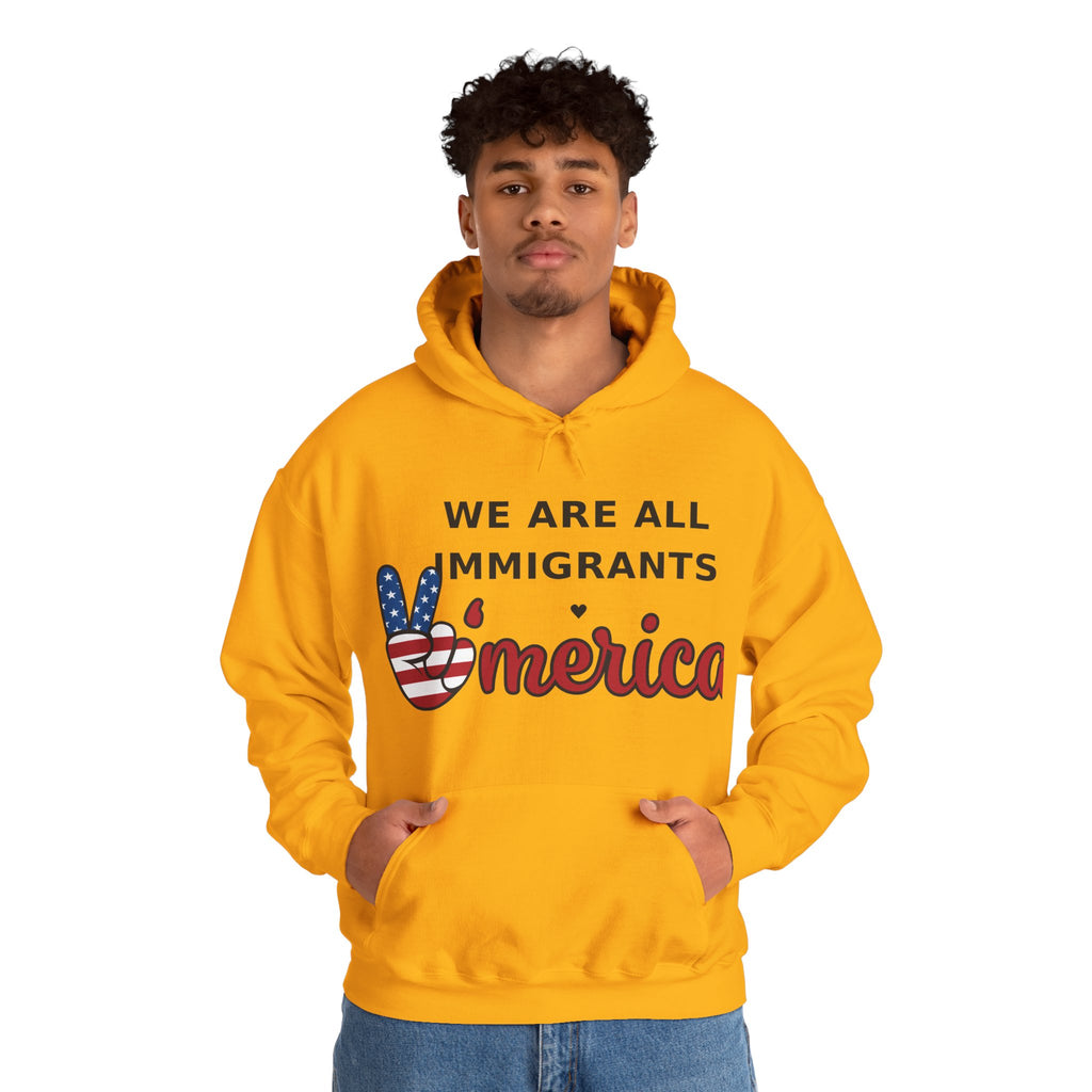 We Are All Immigrants Hoodie — Statement Hoodie