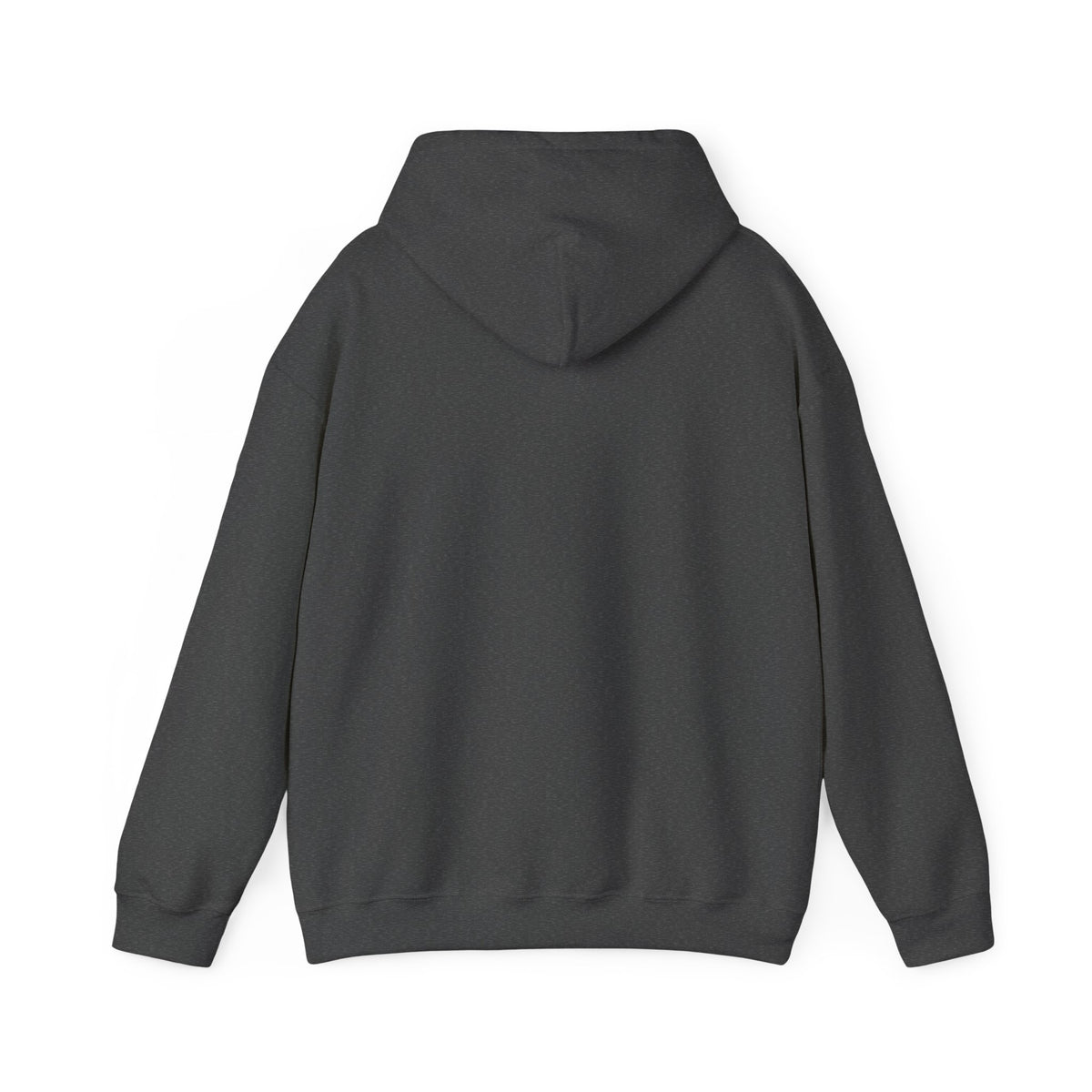 We Are All Immigrants Hoodie — Statement Hoodie