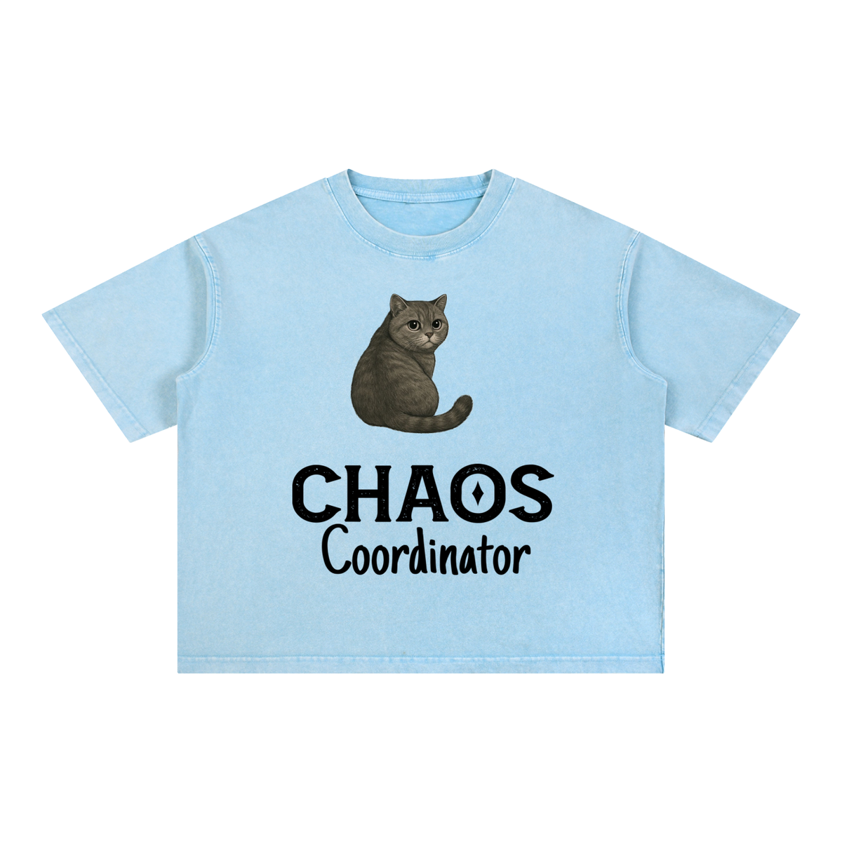 Mineral Wash Boxy Cotton T-Shirt