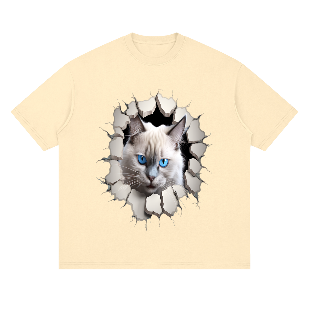 Streetwear Loose Drop Shoulder T-Shirt