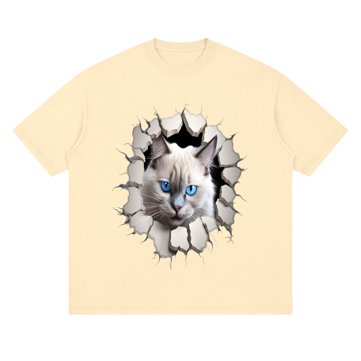 Streetwear Loose Drop Shoulder T-Shirt