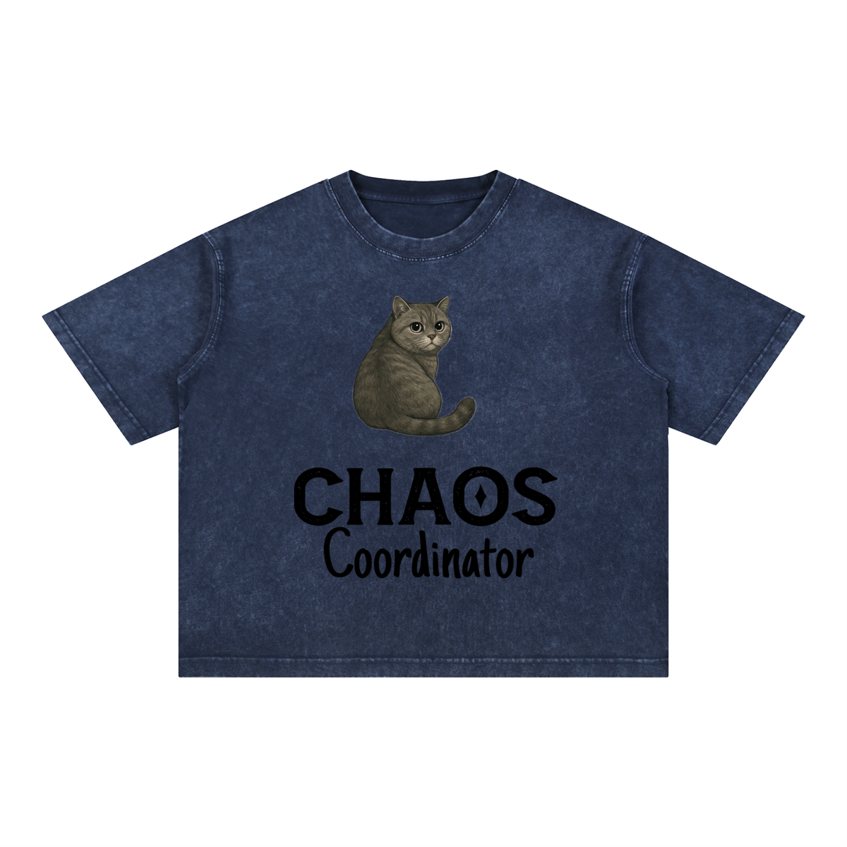 Mineral Wash Boxy Cotton T-Shirt